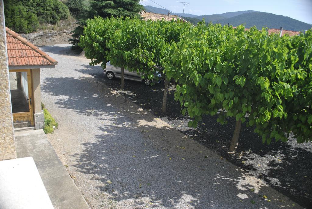 El Violi Gasthof Cardona