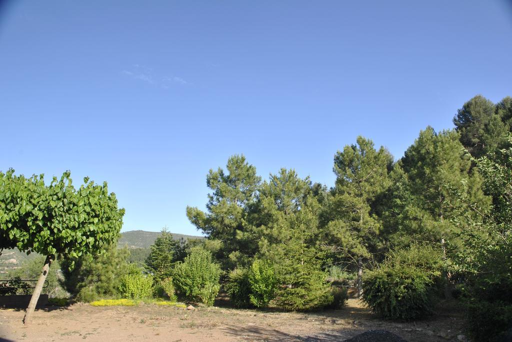 El Violi Guest house